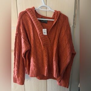 American Eagle Outfitters V-Neck Sweater - Rust